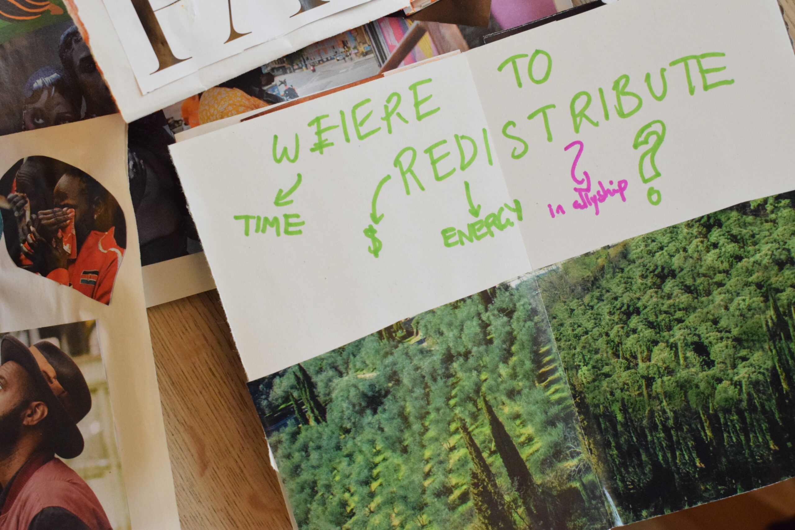 photo of a paper collage with dense forest, above reads where to distribute time, energy, £, allyship?