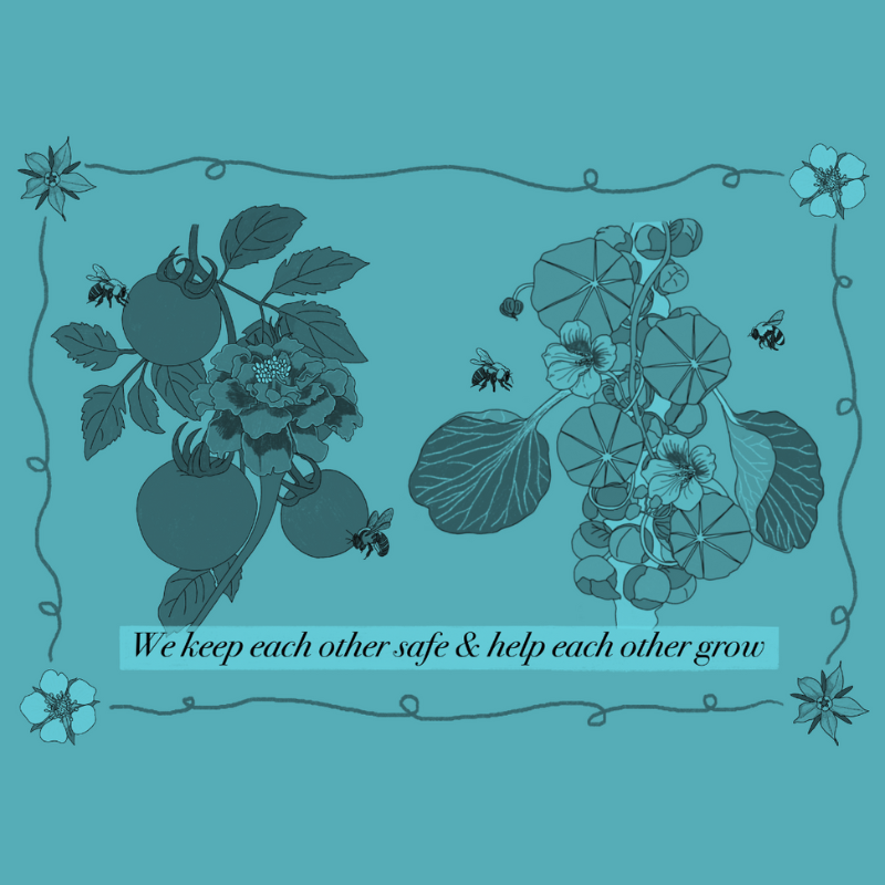 Light purple background with tomato stem and red flower on left hand side. White stemmed plant on the right hand side with green leaves of different sizes and textures, and small yellow flowers. There are bees around both stems and underneath are the words, We keep each other safe & help each other grow. Image is bordered by two blue flowers and two white flowers in the corners, with swirly stems between them to create a rectangle around the image. Image has blue filter over it.