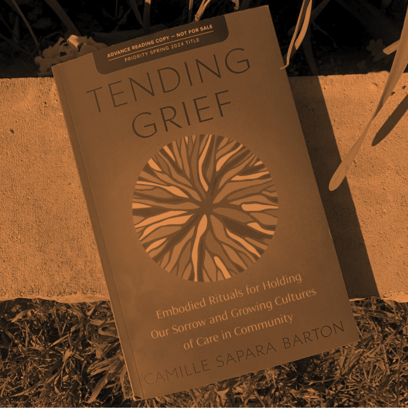 red book sits on paving stone and grass. Cover has colourful round drawing in the centre. Title Tending Grief above it with underneath: Embodied rituals for holding our sorrow and growing cultures of care in community. Camille Sapara Barton. Image has orange filter on it