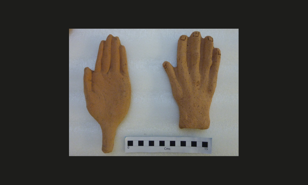 Two orange clay hands one facing palm up, one pal down, on a white background with a ruler measuring 15cm