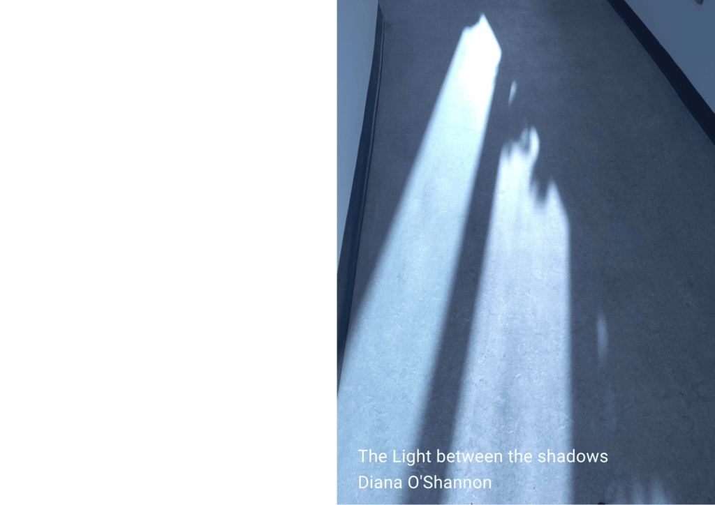 Photo of shadows on a grey wall with sun streaming through. White text at the bottom reads: "The Light between the shadows. Dianna O'Shannon"