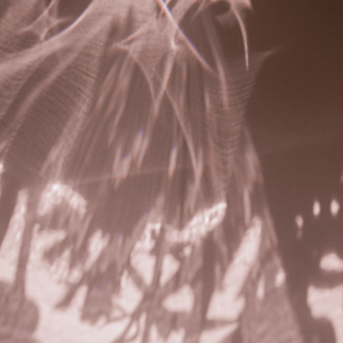 Shadows of flowers and leaves with bright white sun streaks on a brown wall